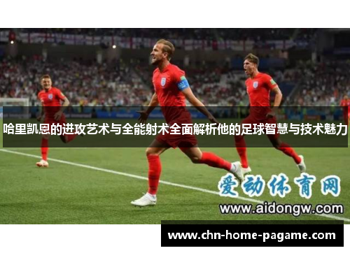 哈里凯恩的进攻艺术与全能射术全面解析他的足球智慧与技术魅力