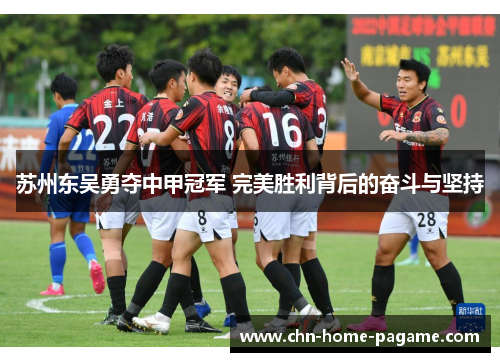 苏州东吴勇夺中甲冠军 完美胜利背后的奋斗与坚持