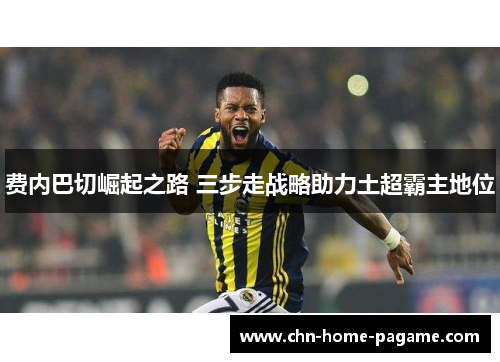 费内巴切崛起之路 三步走战略助力土超霸主地位