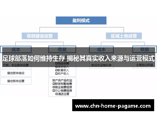 足球部落如何维持生存 揭秘其真实收入来源与运营模式