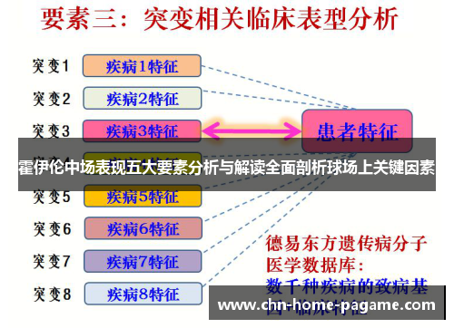 霍伊伦中场表现五大要素分析与解读全面剖析球场上关键因素 霍伊伦中场表现五大要素分析与解读全面剖析球场上关键因素