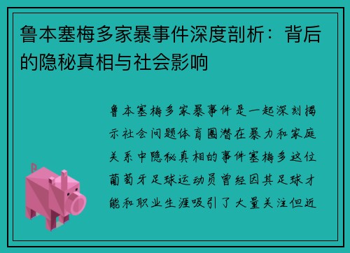 鲁本塞梅多家暴事件深度剖析：背后的隐秘真相与社会影响